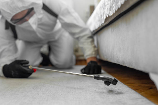 Professional Bed Bug Control technician working in Talbot County County, GA